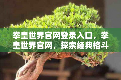 探索经典格斗游戏的全新篇章图片