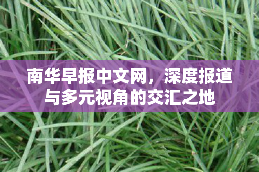 南华早报中文网,深度报道与多元视角的交汇之地 南华早报中文网,深度报道与多元视角的交汇之地