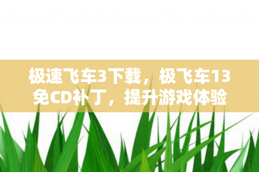 极速飞车3下载，极飞车13免CD补丁，提升游戏体验的实用工具