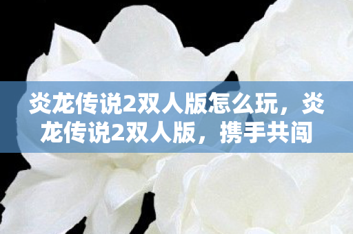 炎龙传说2双人版怎么玩,炎龙传说2双人版,携手共闯奇幻世界 炎龙传说2双人版怎么玩,炎龙传说2双人版,携手共闯奇幻世界