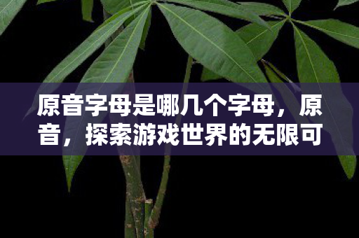 原音字母是哪几个字母，原音，探索游戏世界的无限可能