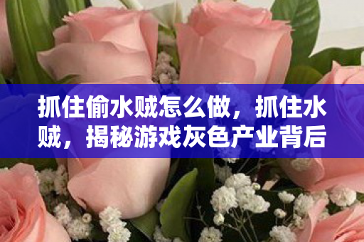 抓住偷水贼怎么做，抓住水贼，揭秘游戏灰色产业背后的秘密