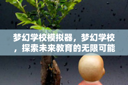 梦幻学校模拟器，梦幻学校，探索未来教育的无限可能