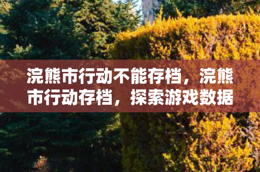 浣熊市行动不能存档,浣熊市行动存档,探索游戏数据的珍贵记忆 浣熊市行动不能存档,浣熊市行动存档,探索游戏数据的珍贵记忆