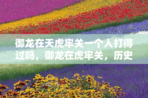 御龙在天虎牢关一个人打得过吗,御龙在虎牢关,历史与文化的交汇点 御龙在天虎牢关一个人打得过吗,御龙在虎牢关,历史与文化的交汇点