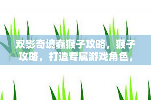 双影奇境蠢猴子攻略,猴子攻略,打造专属游戏角色,解锁无限可能 双影奇境蠢猴子攻略,猴子攻略,打造专属游戏角色,解锁无限可能
