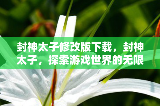 封神太子修改版下载,封神太子,探索游戏世界的无限可能 封神太子修改版下载,封神太子,探索游戏世界的无限可能