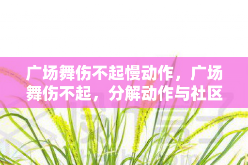 广场舞伤不起慢动作,广场舞伤不起,分解动作与社区文化的碰撞 广场舞伤不起慢动作,广场舞伤不起,分解动作与社区文化的碰撞