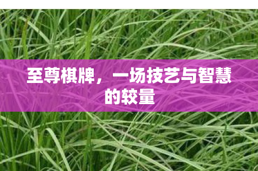 至尊棋牌,一场技艺与智慧的较量 至尊棋牌,一场技艺与智慧的较量