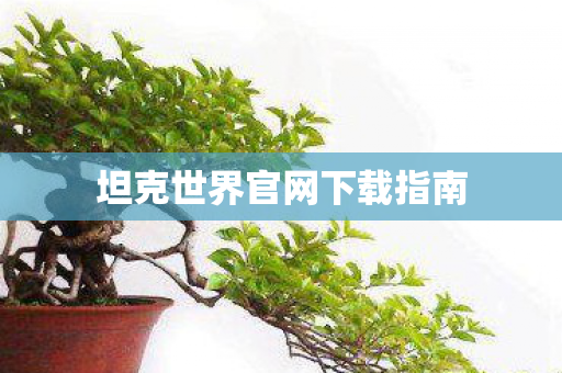 坦克世界官网下载指南 坦克世界官网下载指南