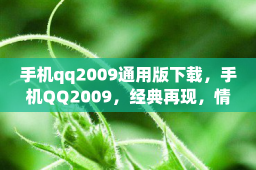 手机qq2009通用版下载，手机QQ2009，经典再现，情怀与回忆的交汇