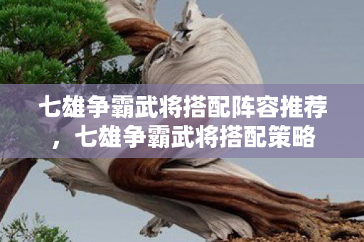 七雄争霸武将搭配阵容推荐，七雄争霸武将搭配策略