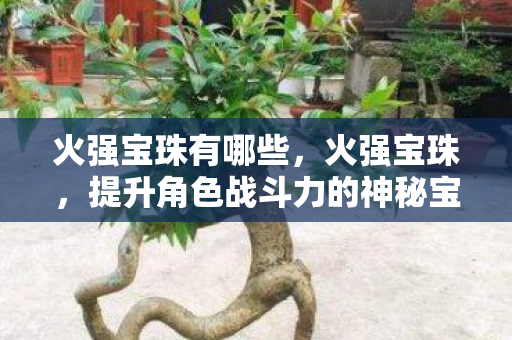 火强宝珠有哪些，火强宝珠，提升角色战斗力的神秘宝物