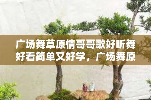 广场舞草原情哥哥歌好听舞好看简单又好学,广场舞原情哥哥,舞动生活的旋律 广场舞草原情哥哥歌好听舞好看简单又好学,广场舞原情哥哥,舞动生活的旋律