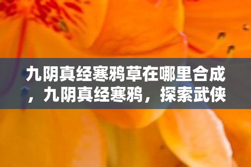 九阴真经寒鸦草在哪里合成,九阴真经寒鸦,探索武侠世界的另类风情 九阴真经寒鸦草在哪里合成,九阴真经寒鸦,探索武侠世界的另类风情