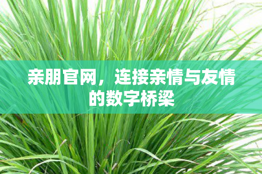 亲朋官网,连接亲情与友情的数字桥梁 亲朋官网,连接亲情与友情的数字桥梁