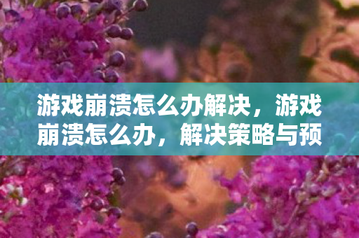 游戏崩溃怎么办解决,游戏崩溃怎么办,解决策略与预防措施 游戏崩溃怎么办解决,游戏崩溃怎么办,解决策略与预防措施