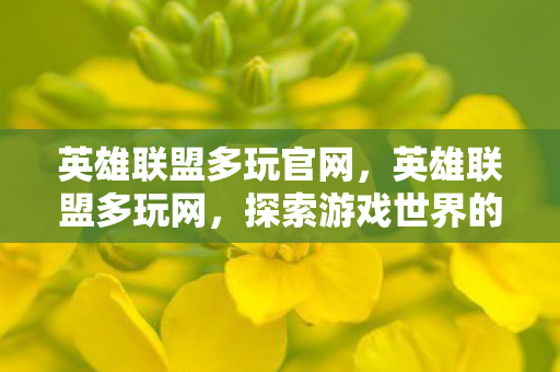 英雄联盟多玩官网，英雄联盟多玩网，探索游戏世界的无限可能