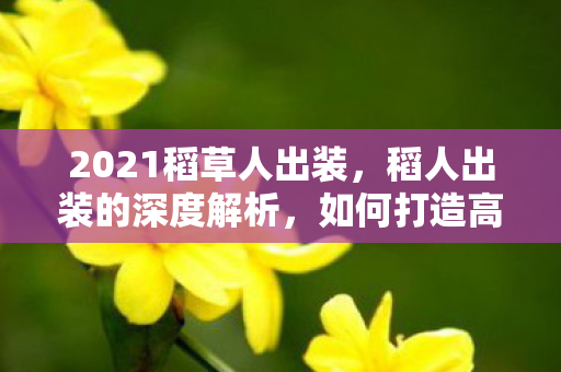 2021稻草人出装，稻人出装的深度解析，如何打造高效且实用的装备组合
