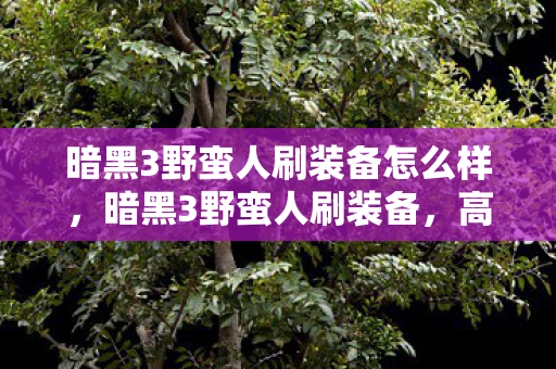 暗黑3野蛮人刷装备怎么样,暗黑3野蛮人刷装备,高效策略与技巧分享 暗黑3野蛮人刷装备怎么样,暗黑3野蛮人刷装备,高效策略与技巧分享