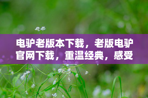 电驴老版本下载,老版电驴官网下载,重温经典,感受昔日魅力 电驴老版本下载,老版电驴官网下载,重温经典,感受昔日魅力