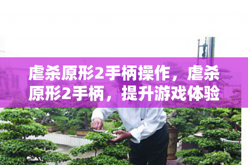虐杀原形2手柄操作，虐杀原形2手柄，提升游戏体验的必备神器