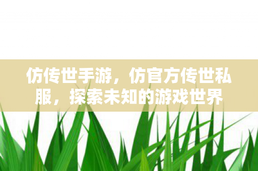 仿传世手游，仿官方传世私服，探索未知的游戏世界