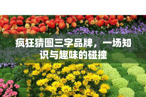 疯狂猜图三字品牌,一场知识与趣味的碰撞 疯狂猜图三字品牌,一场知识与趣味的碰撞