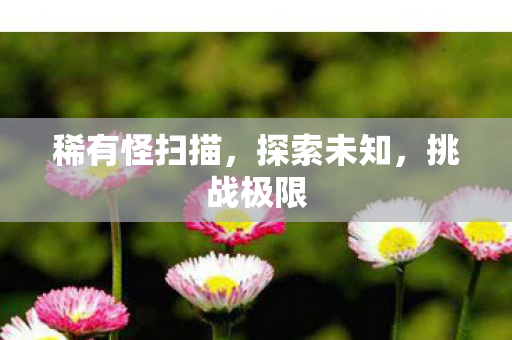 稀有怪扫描,探索未知,挑战极限 稀有怪扫描,探索未知,挑战极限