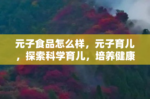 元子食品怎么样,元子育儿,探索科学育儿,培养健康宝宝 元子食品怎么样,元子育儿,探索科学育儿,培养健康宝宝