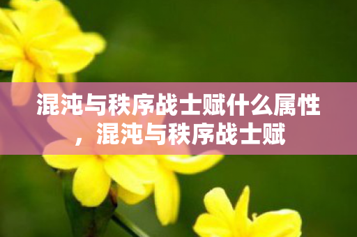 混沌与秩序战士赋什么属性,混沌与秩序战士赋 混沌与秩序战士赋什么属性,混沌与秩序战士赋