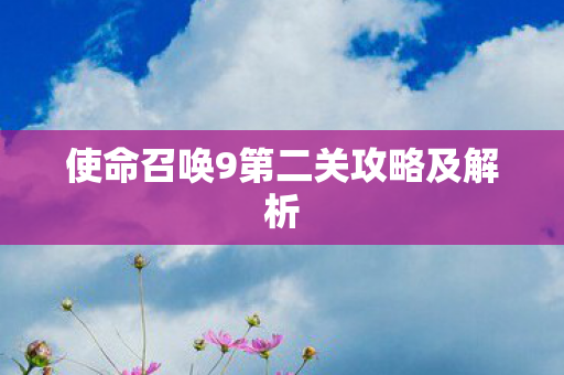 使命召唤9第二关攻略及解析