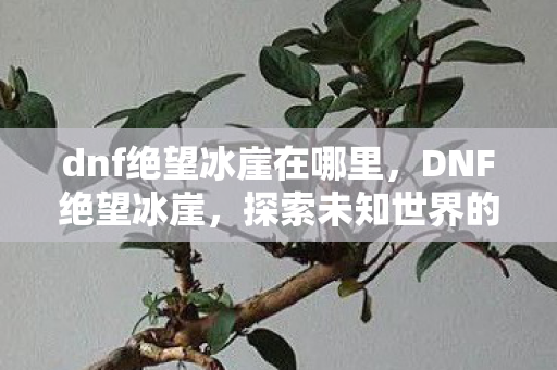 dnf绝望冰崖在哪里，DNF绝望冰崖，探索未知世界的神秘之旅