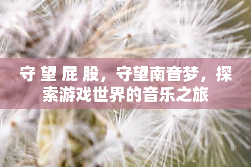 守 望 屁 股，守望南音梦，探索游戏世界的音乐之旅