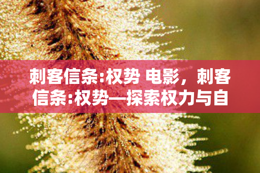 刺客信条:权势 电影,刺客信条:权势—探索权力与自由的边界 刺客信条:权势 电影,刺客信条:权势—探索权力与自由的边界