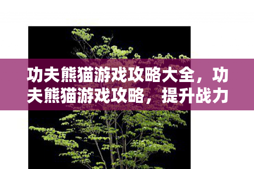 功夫熊猫游戏攻略大全，功夫熊猫游戏攻略，提升战力与技巧解析