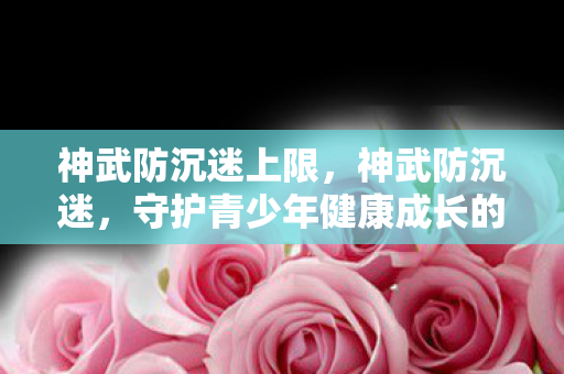 神武防沉迷上限，神武防沉迷，守护青少年健康成长的数字防线