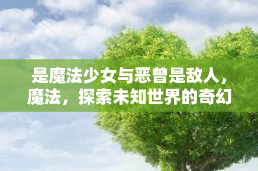 是魔法少女与恶曾是敌人,魔法,探索未知世界的奇幻之旅 是魔法少女与恶曾是敌人,魔法,探索未知世界的奇幻之旅