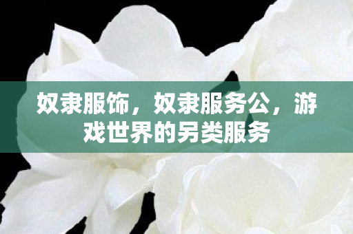 奴隶服饰,奴隶服务公,游戏世界的另类服务 奴隶服饰,奴隶服务公,游戏世界的另类服务