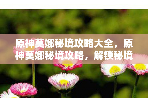 原神莫娜秘境攻略大全,原神莫娜秘境攻略,解锁秘境,掌握莫娜战斗技巧 原神莫娜秘境攻略大全,原神莫娜秘境攻略,解锁秘境,掌握莫娜战斗技巧
