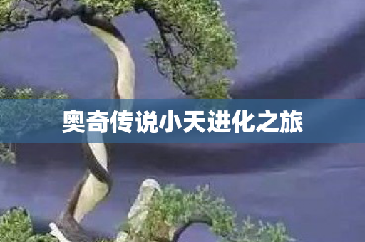 奥奇传说小天进化之旅 奥奇传说小天进化之旅