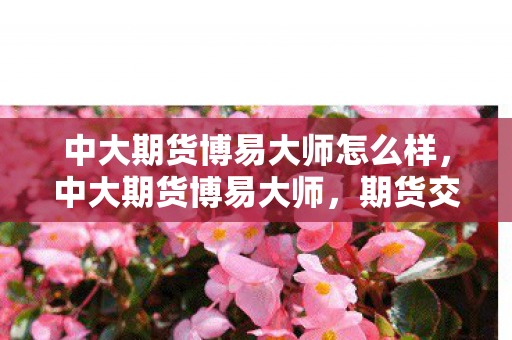 中大期货博易大师怎么样,中大期货博易大师,期货交易的高效工具 中大期货博易大师怎么样,中大期货博易大师,期货交易的高效工具