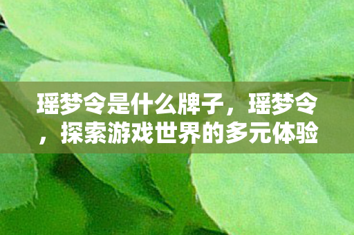瑶梦令是什么牌子，瑶梦令，探索游戏世界的多元体验
