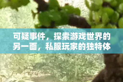 可疑事件,探索游戏世界的另一面,私服玩家的独特体验与社区文化 可疑事件,探索游戏世界的另一面,私服玩家的独特体验与社区文化