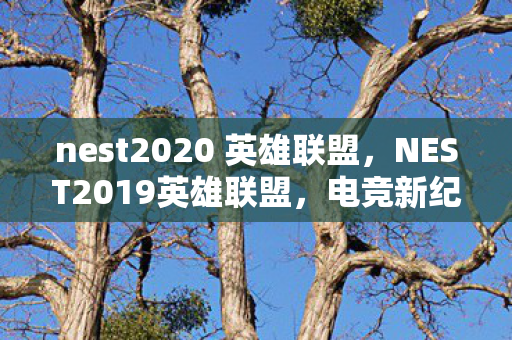 nest2020 英雄联盟，NEST2019英雄联盟，电竞新纪元下的荣耀与梦想