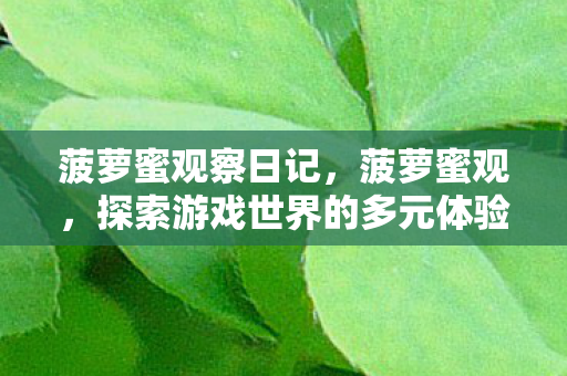 菠萝蜜观察日记，菠萝蜜观，探索游戏世界的多元体验