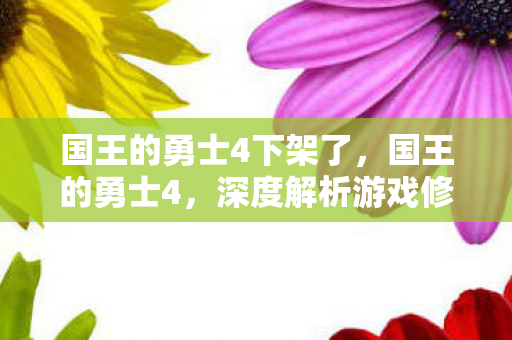 国王的勇士4下架了，国王的勇士4，深度解析游戏修改与玩家社区的创意互动