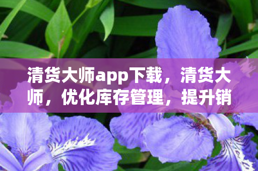 清货大师app下载,清货大师,优化库存管理,提升销售效率 清货大师app下载,清货大师,优化库存管理,提升销售效率
