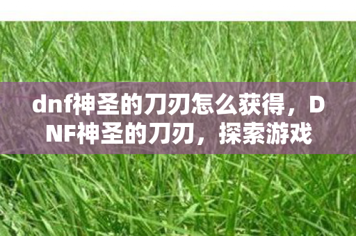 dnf神圣的刀刃怎么获得，DNF神圣的刀刃，探索游戏中的传奇武器