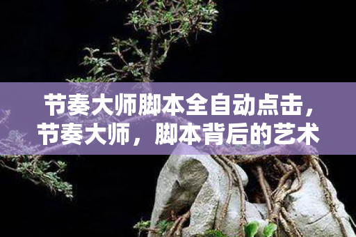 节奏大师脚本全自动点击,节奏大师,脚本背后的艺术 节奏大师脚本全自动点击,节奏大师,脚本背后的艺术